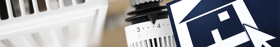 Banner - Dietmar Thies