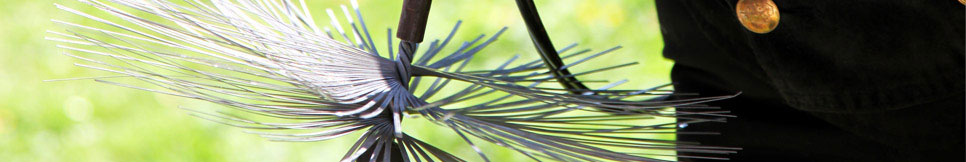 Banner - Dietmar Thies